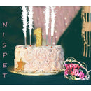 Sparklers Birthday Candles (600 Pcs/Case） - 666 CY Int'l Trading